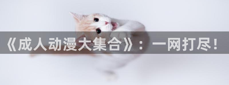 囧次元热门动漫有哪些