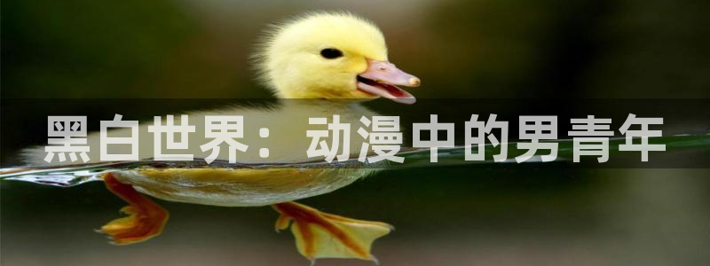 囧次元免费看动漫